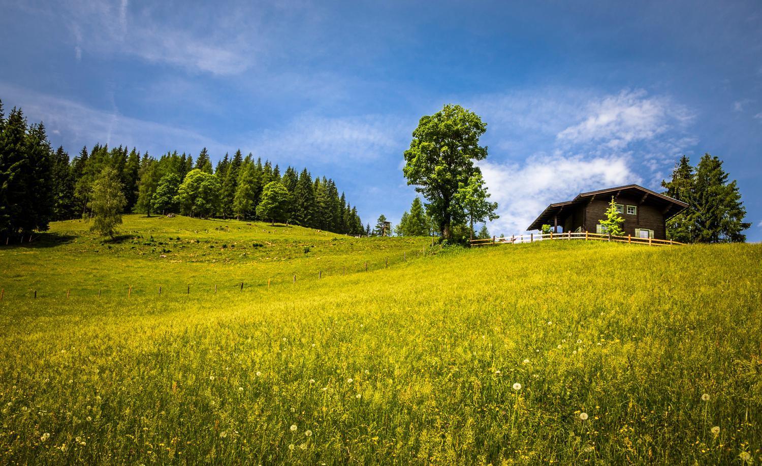Apartamento Bauernhof Auhof Wagrain Exterior foto
